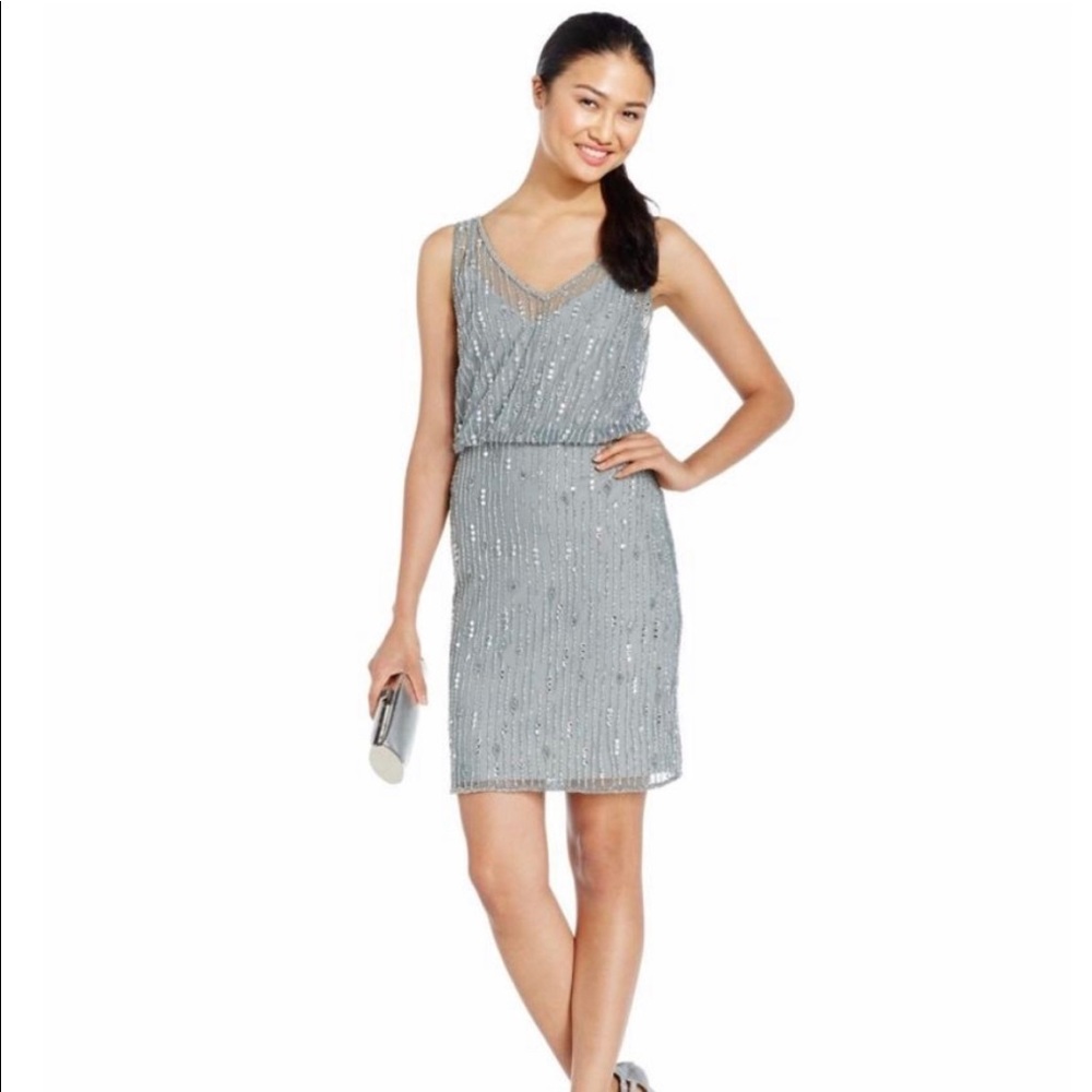 NWT Adrianna Papell Slate Bluson Dress - Size 10